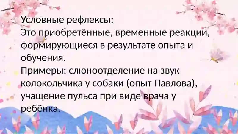Безусловные и условные рефлексы 4