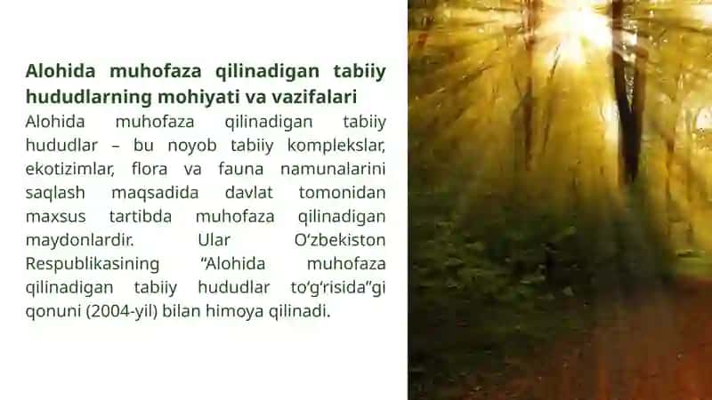 Alohida muhofaza qilinadigan tabiiy hududlar va ularning ekologik-iqtisodiy muammolari 4