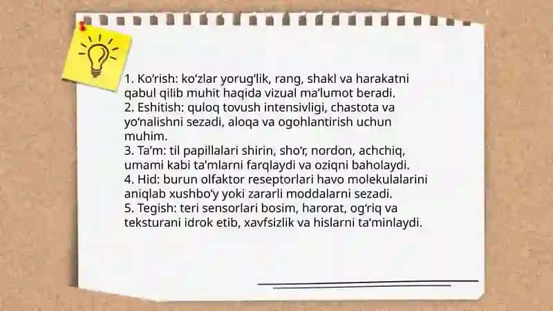 Sezgilar haqida umumiy tushuncha 4