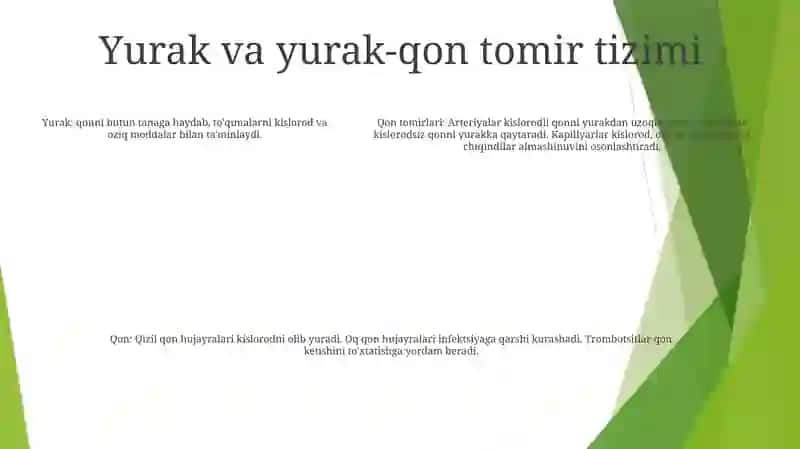 Qon Tomirlari Sistemasi 4