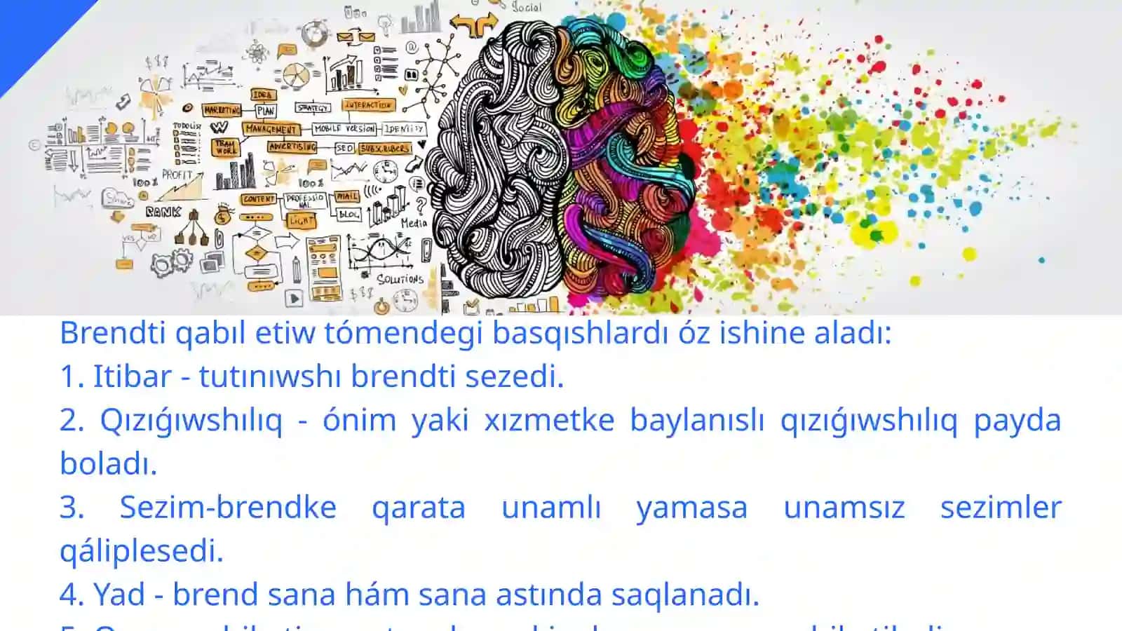 Neyromarketing hám brend qabıllawına tásiri 4