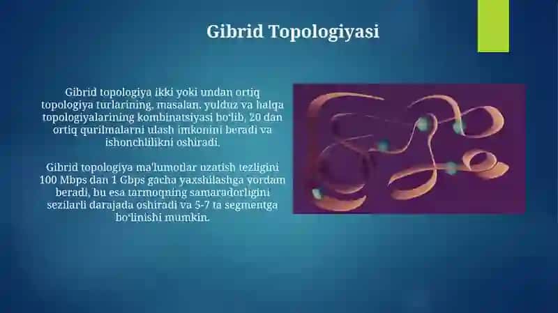 Fizik ulanishlar topologiyasi 4