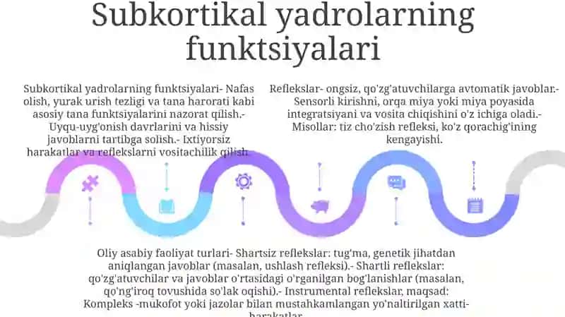 Asab Tizimining Oliy Bo'Limlarining Funktsiyalari 4