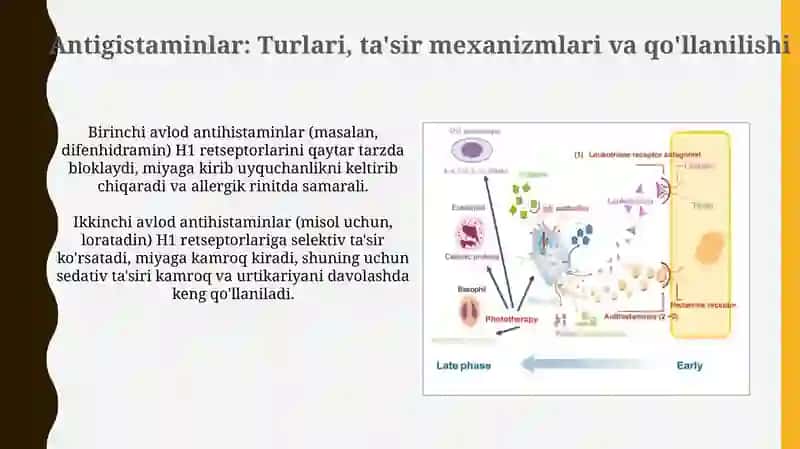 Immunitetga ta'sir etuvchi moddalar va anti-allergiya dorilar 4