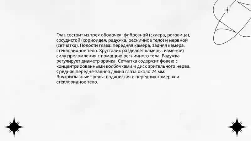 Органы чувств 4
