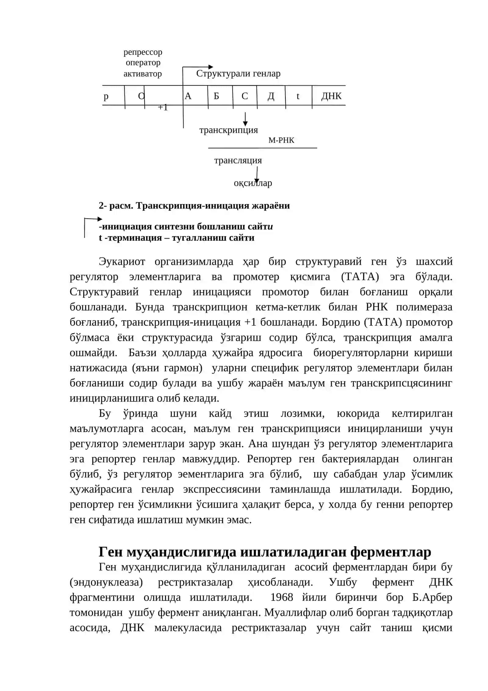 Ген муҳандислиги 4