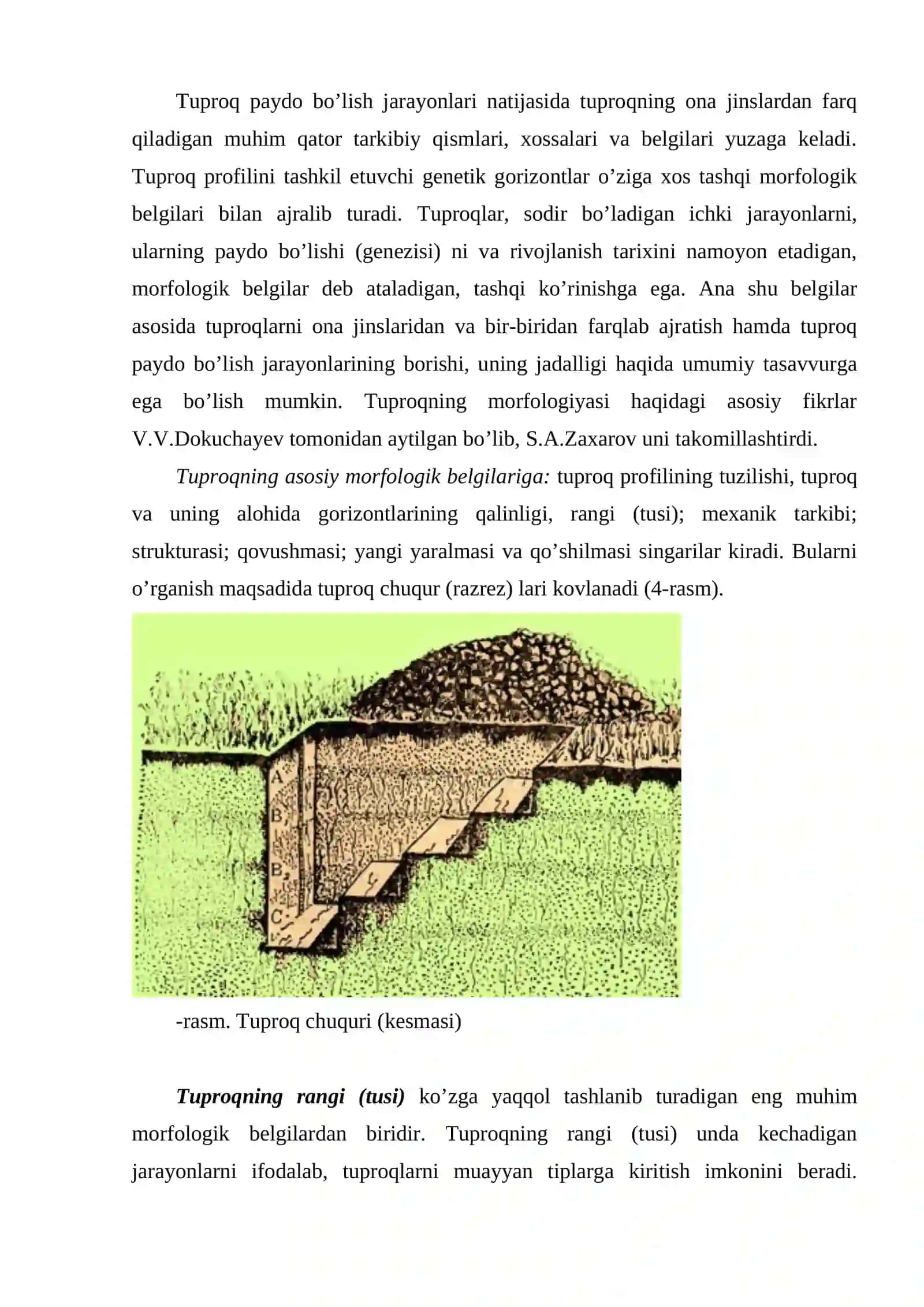 TUPROQning MORFOLOGIK tuzilishi 4
