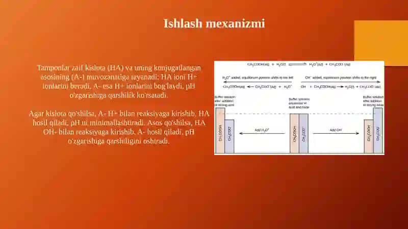 Buffer sistemalar 4