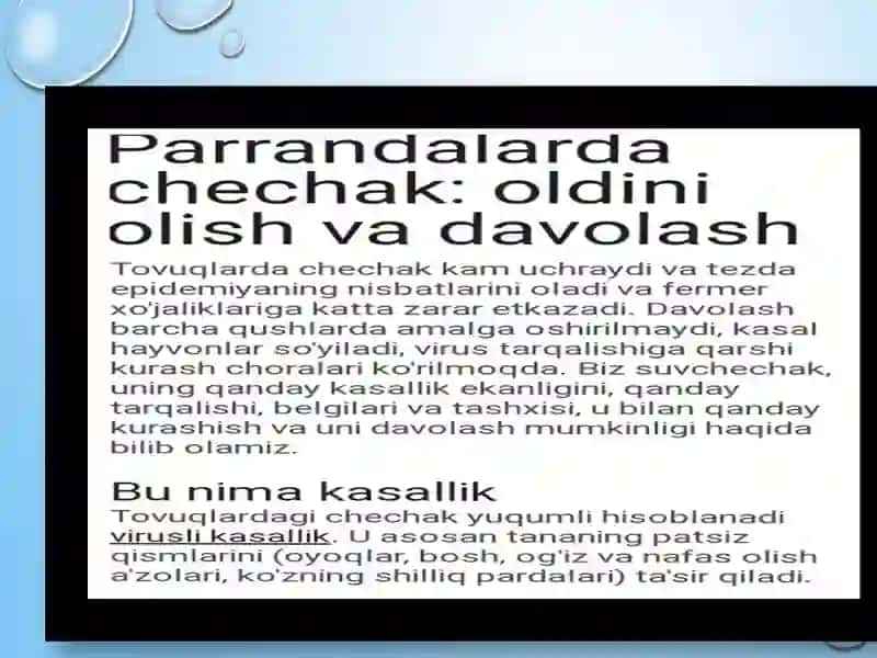Parandalarding chechak kasalligiga diagnoz qo'yish 4