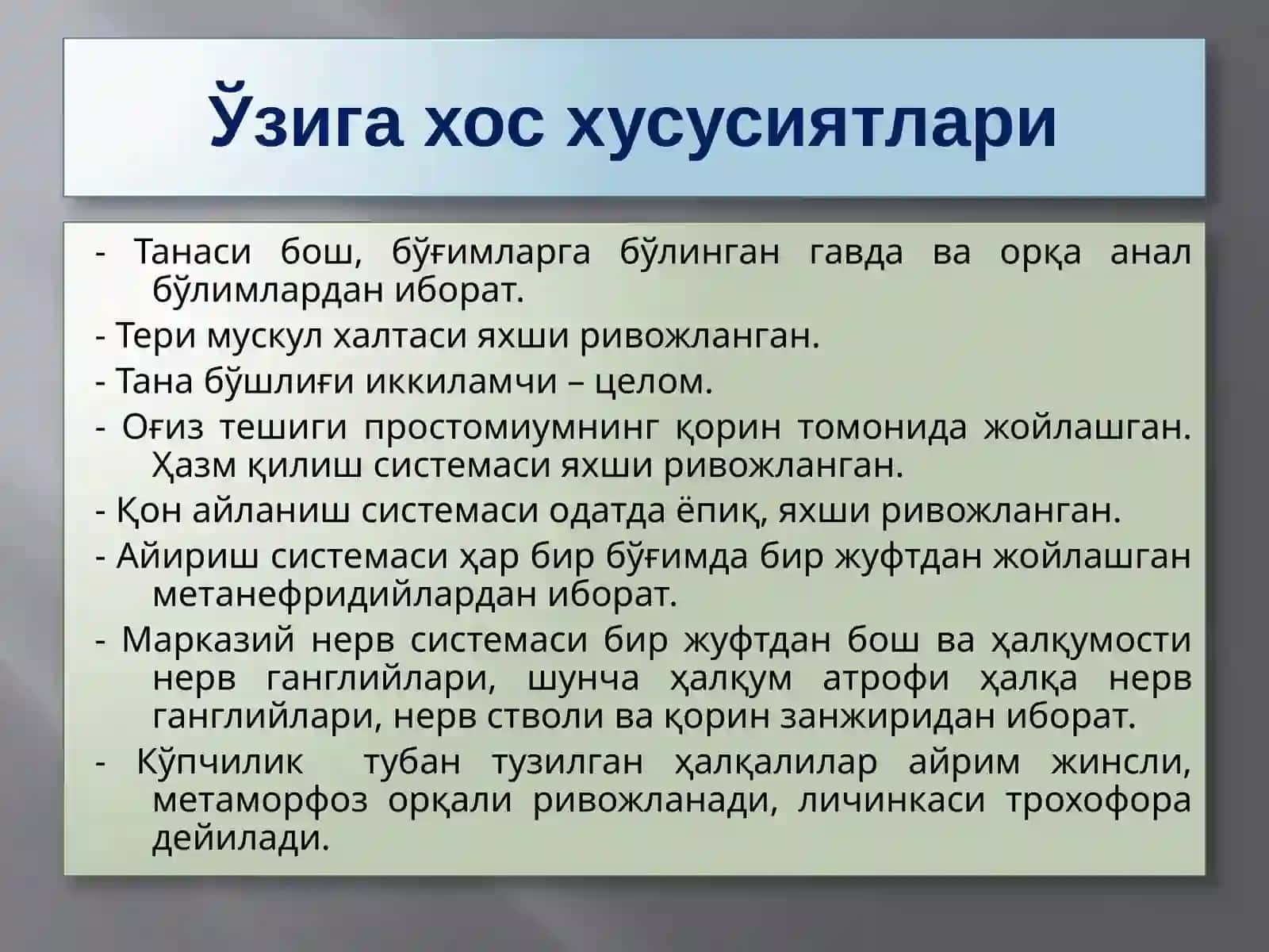 Annelida (Халқали чувалчанглар) 4