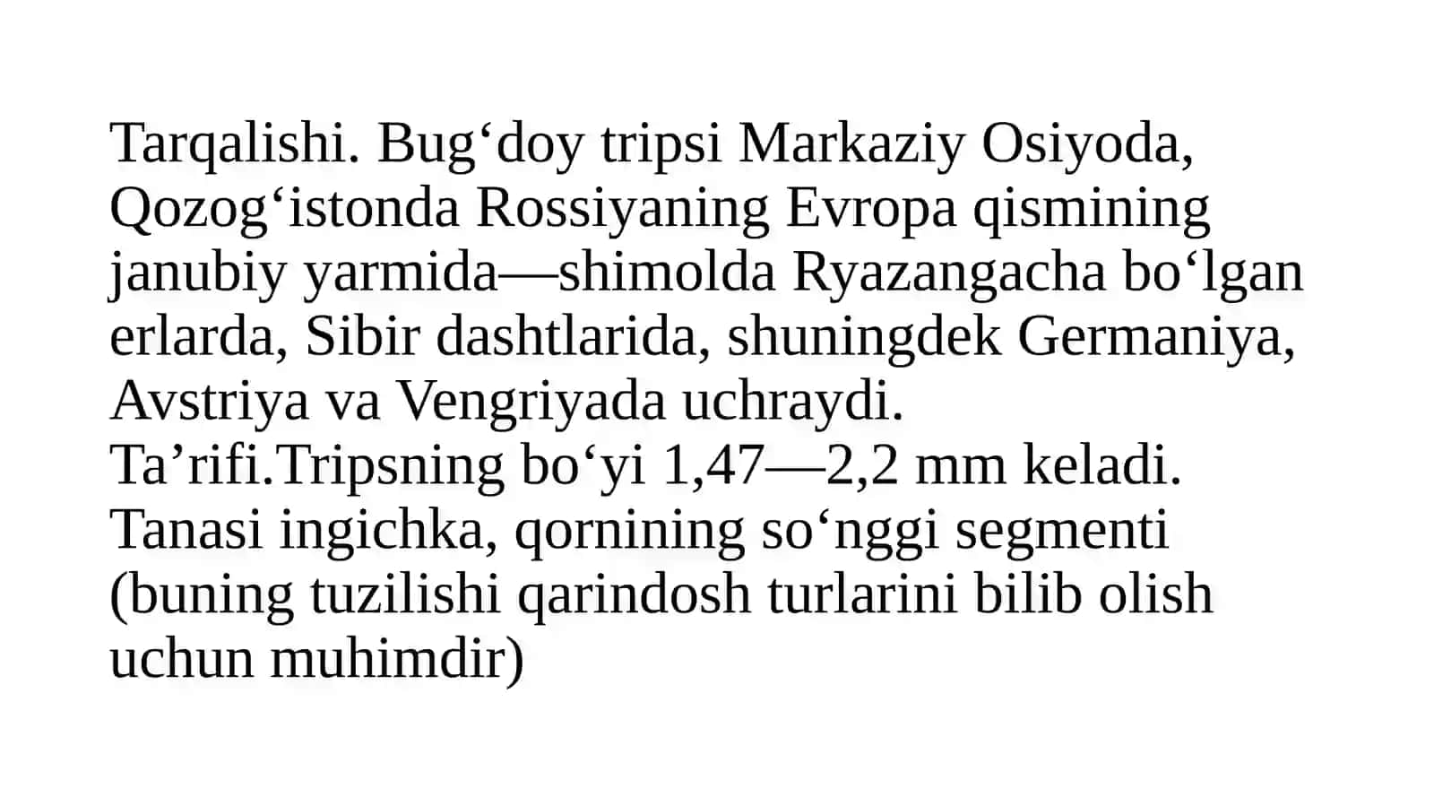 Bug‘doytripsi-HaptothripstriticiKurd 4