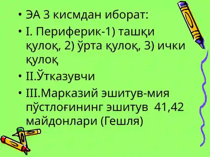 Эшитув ва вестибуляр анализаторларининг физиологияси 4