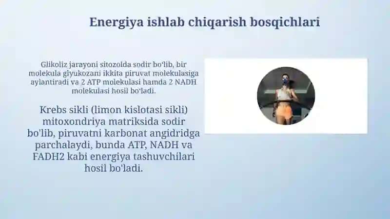Metabolizm jaroyonida energiya hosil bo'lishi va sarflanishi 4