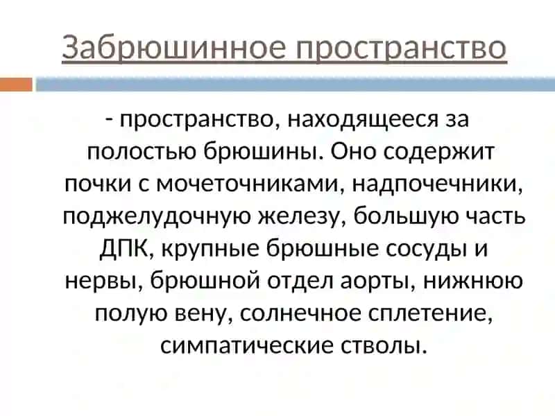 ТОПОГРАФИЧЕСКАЯ АНАТОМИЯ ЖИВОТА 4