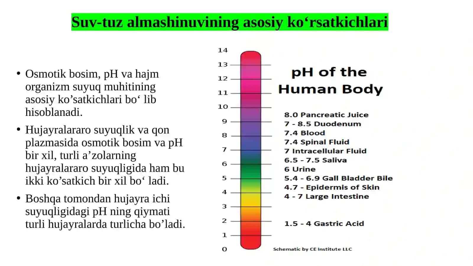 ENDOKRIN SISTEMASI BIOKIMYOSI-2 4