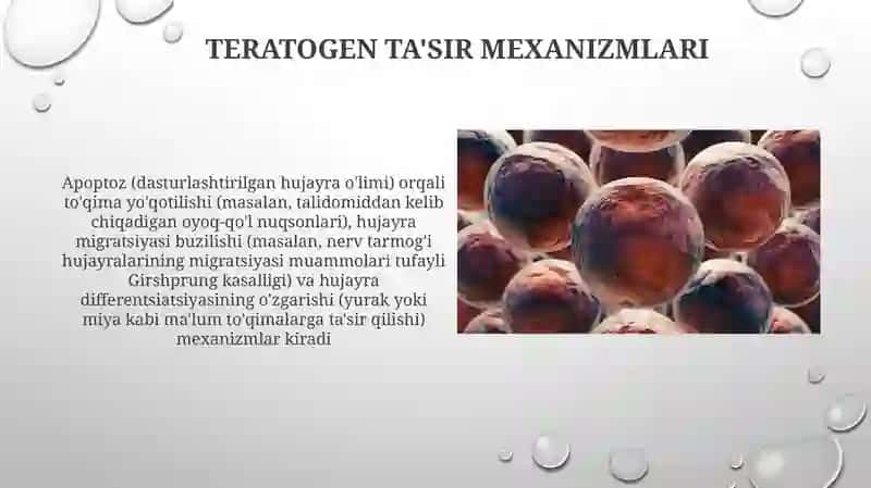 Embriogenez. Teratogen omillar 4