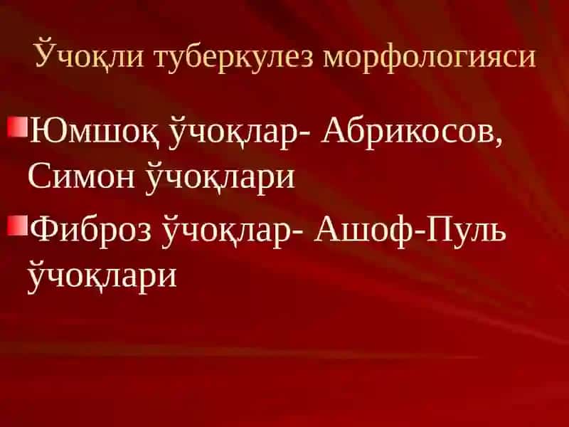 Ўчоқли туберкулезнингпатогенези ва патологик анатомияси 4