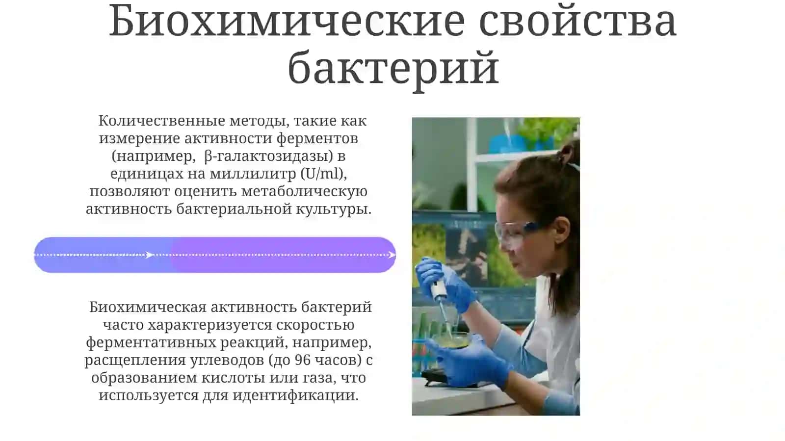Изучение биохимических свойств бактерий в питательных средах 4