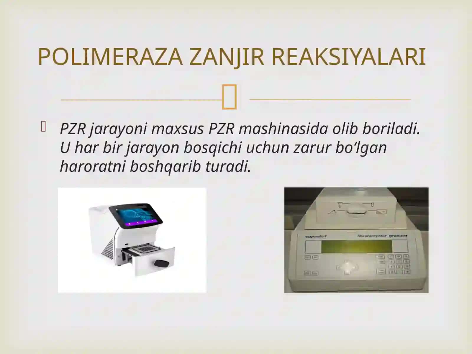 Gen Zondlari Usuli, Polimerazali Zanjirli Reaksiyasi PZR 4