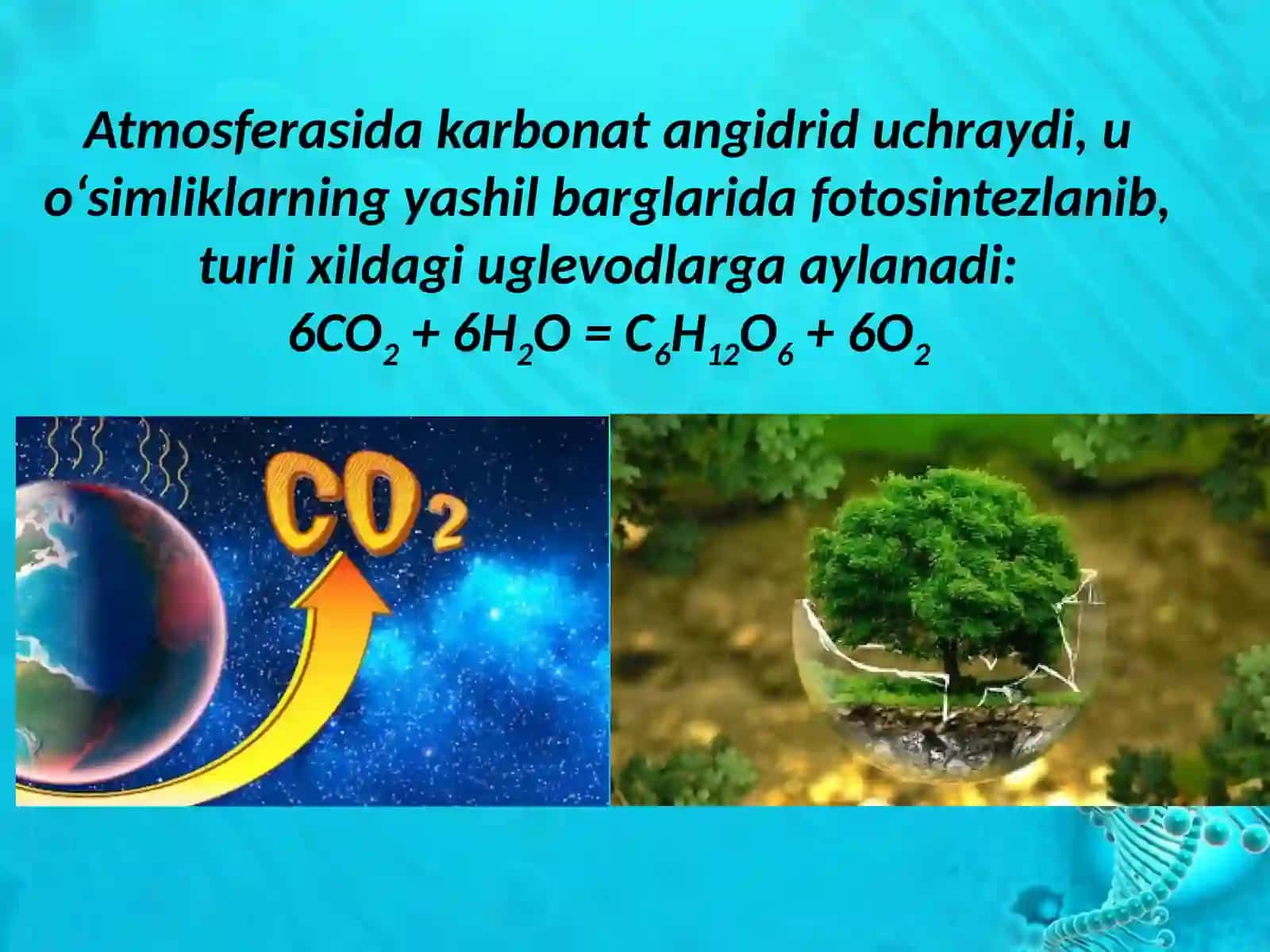 OLOV VA UNİNG XOSSALARİ 4
