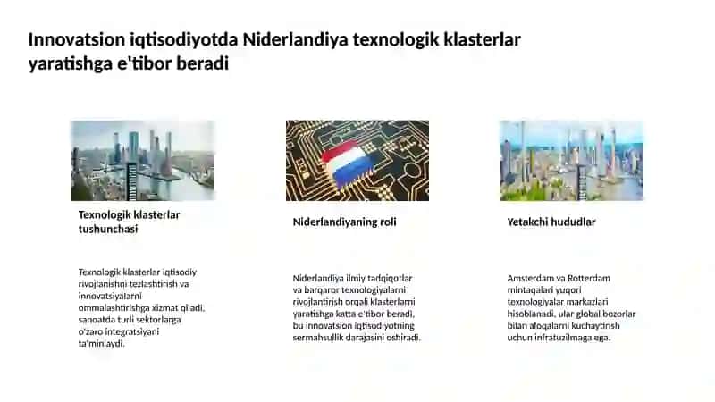 Niderlandiya innovatsion iqtisodiyot bo'yicha resurslar 4
