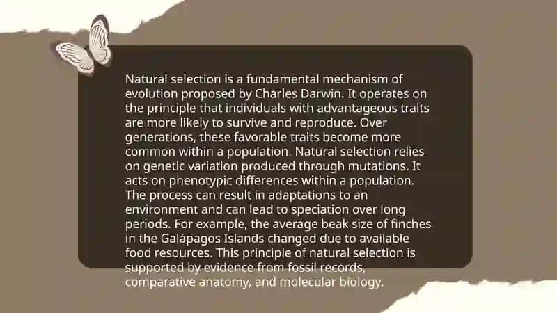 Charles Darwin's Theory of Evolution 4