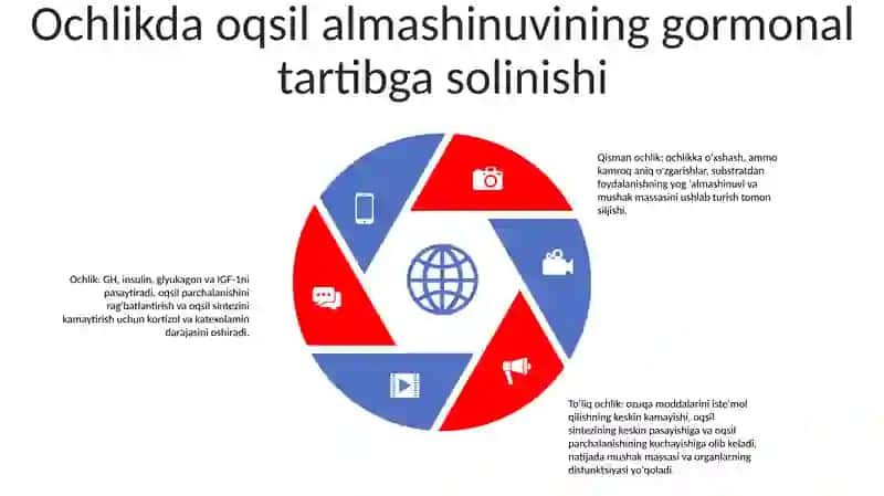 Oqsillar Almashinuvining Patofiziologiya (Chala Va To'Liq Ochlik) 4