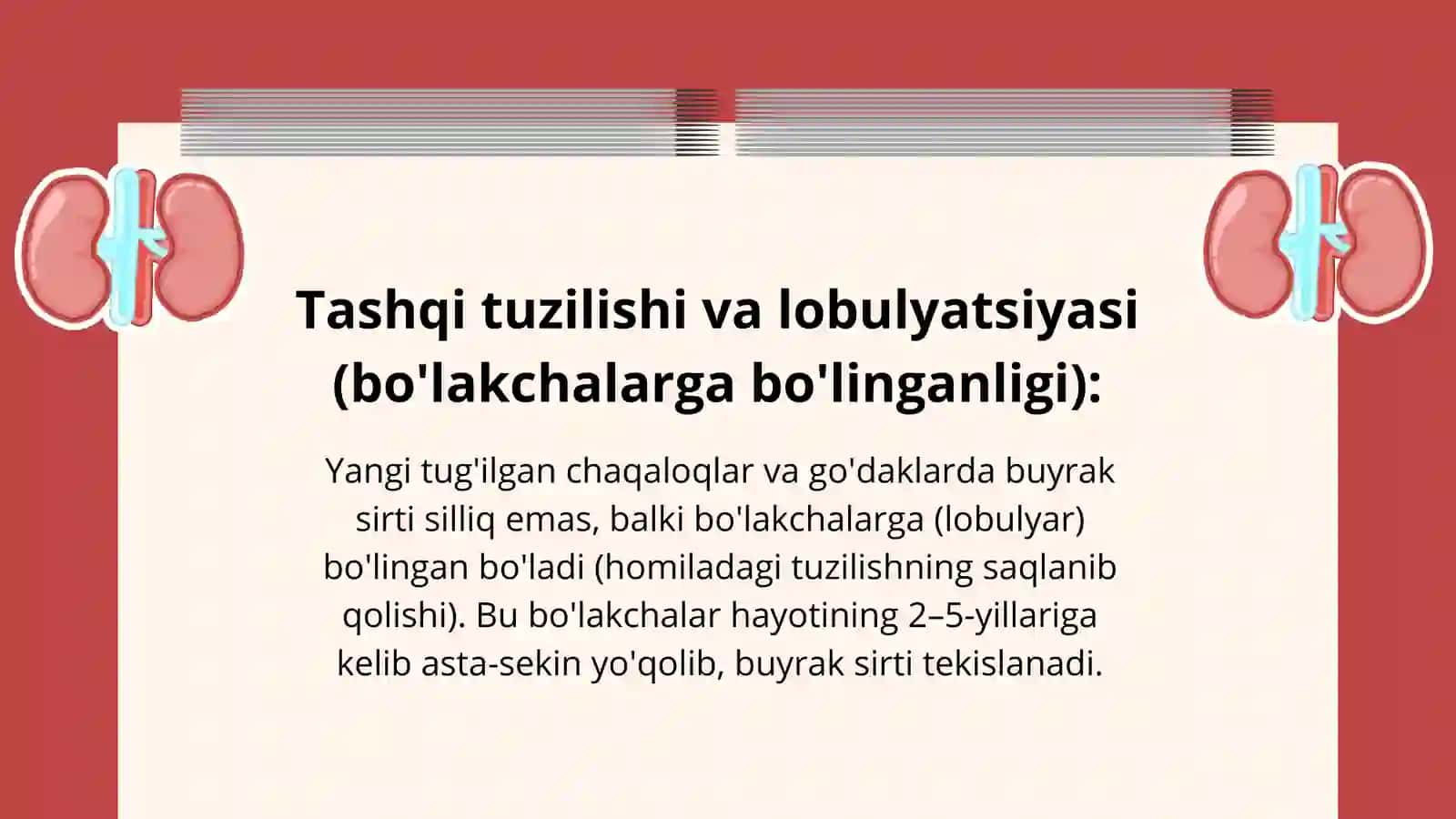 Bolalarda Buyraklarning Anatomo-Fiziologik Xususiyatlari — 12 Slaydlik Taqdimot 4