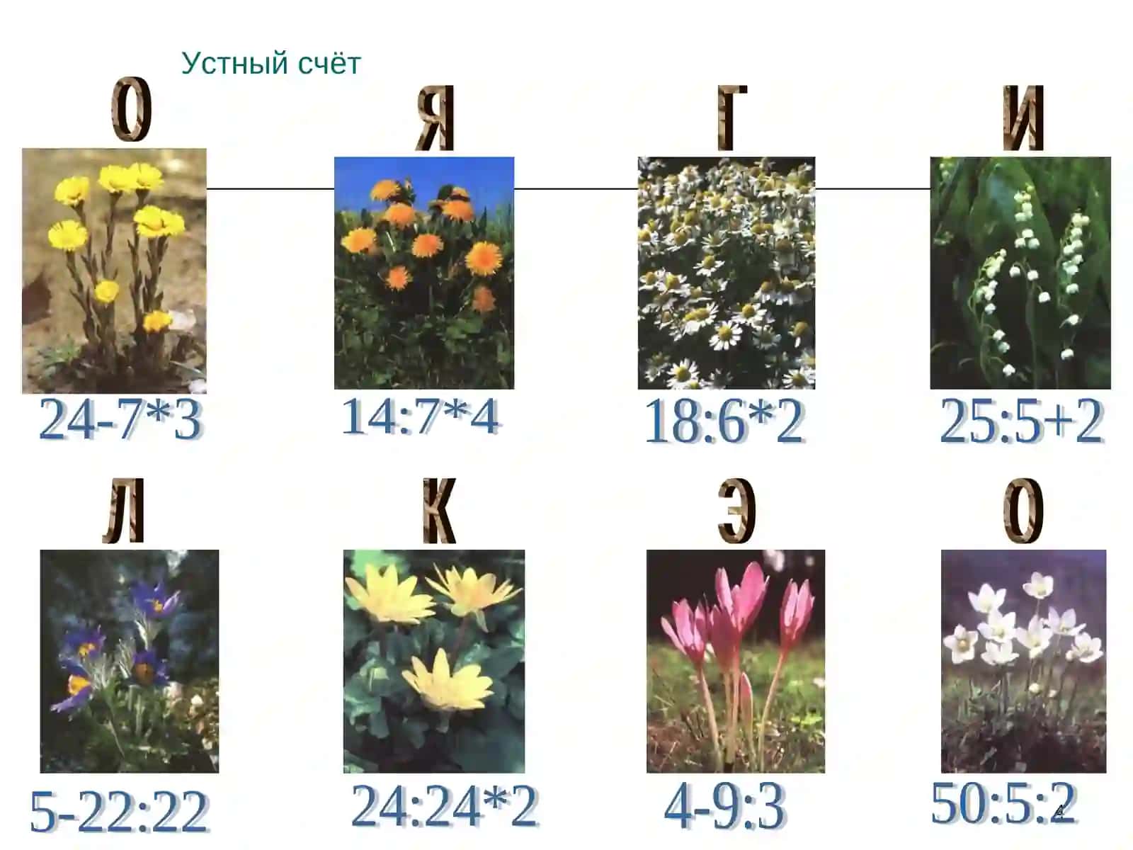 Внетабличное умножение и деление, Экологическая безопасность 4