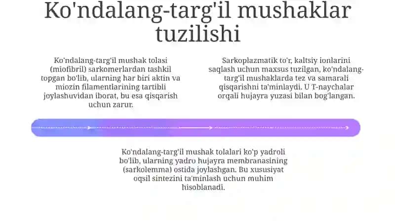Silliq va ko'ndalang-targ'il mushaklarning tuzilishi va qisqarish mexanizmlari 4