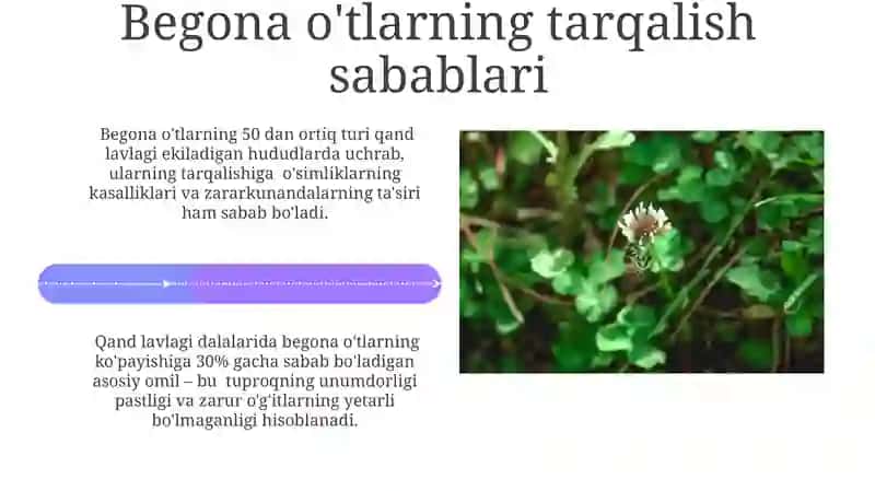 Integratsiyalashgan begona o'tlarga qarshi kurash 4
