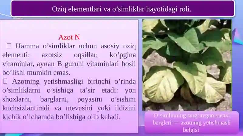 Mineral o‘g‘it sepgichni ishga tayyorlash va ishlatishni o‘rganish 4