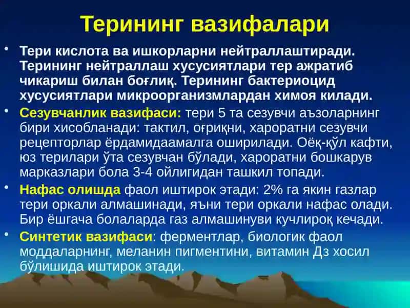 Тери тананинг анатомияси 4