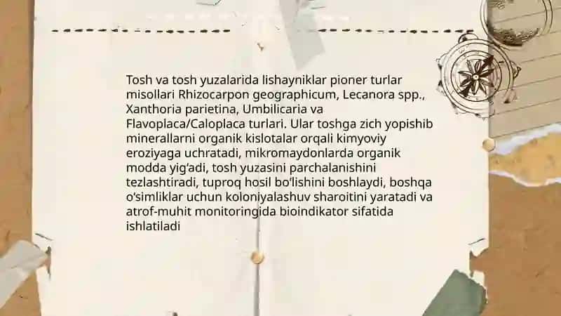 Lishayniklarning tabiatida tarqalishi va ahamiyati 4