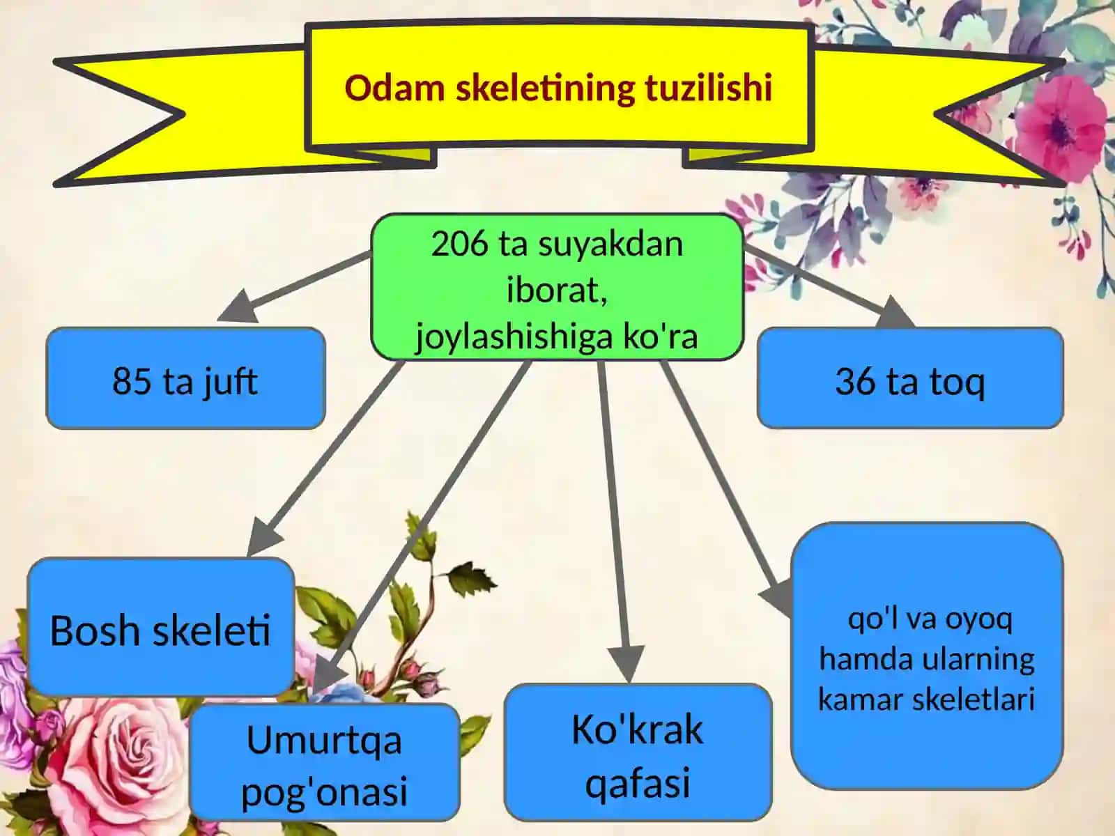 9-§. Tayanch-harakatlanish sistemasining tuzilishi, funksiyasi va ahamiyati 4