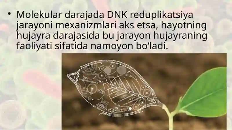 Hayotning huja ra darajasi va uning o‘ziga xos jihatlari 4