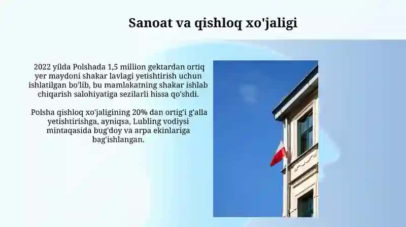 Polsha davlati haqida 4