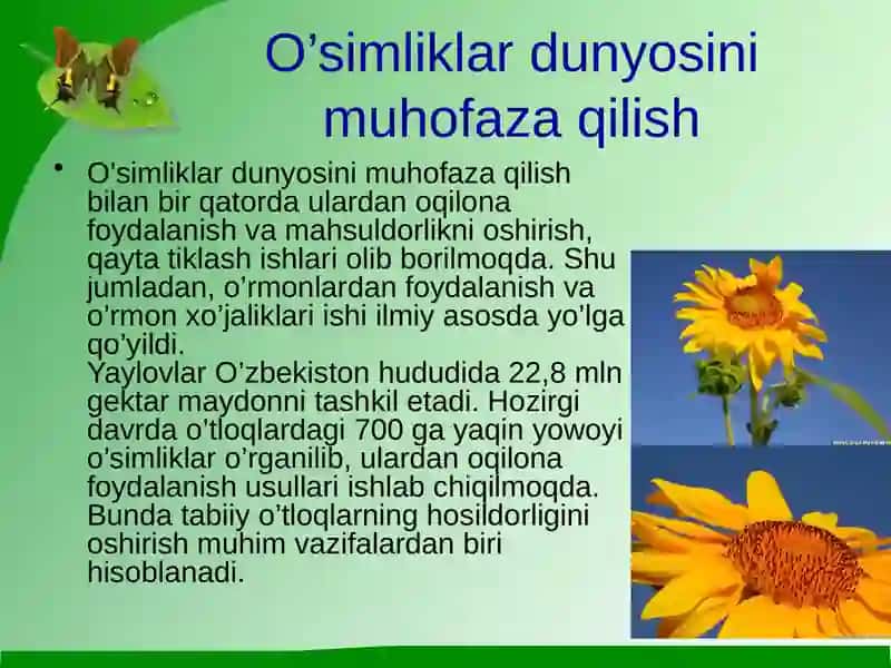O’simliklar dunyosini muhofaza qilish 4