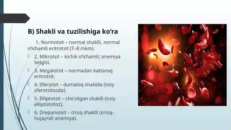 Eritrotsitlar, turlari funksiyalari. Gemoglobin va uning turlari. Leykotsitlar, tibbiyotdagi ahamiyati. Kamqonlik. Gemostaz. Qon guruhlari. Rezus faktorlar. Qon quyish asoslari 4