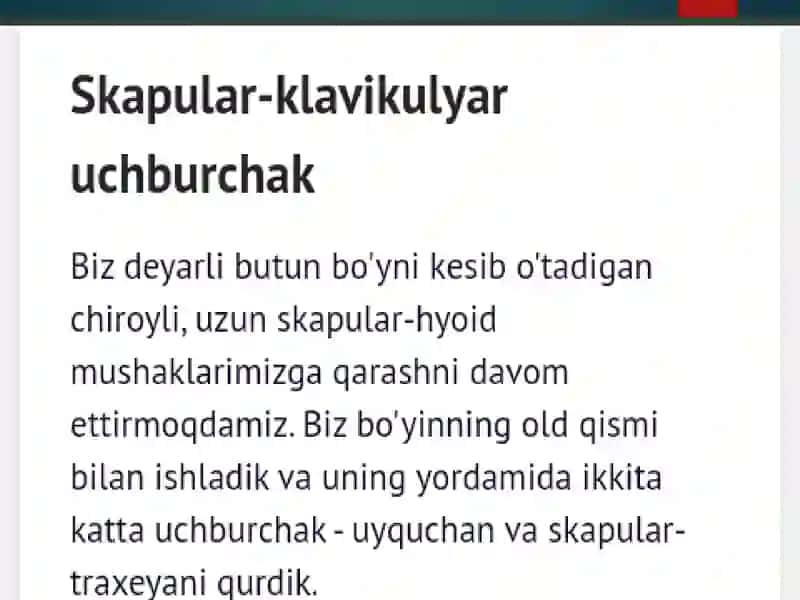 Bo'yin flegmonasi 4