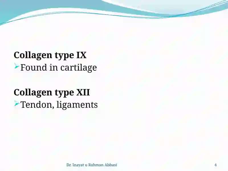Types of collagen 4