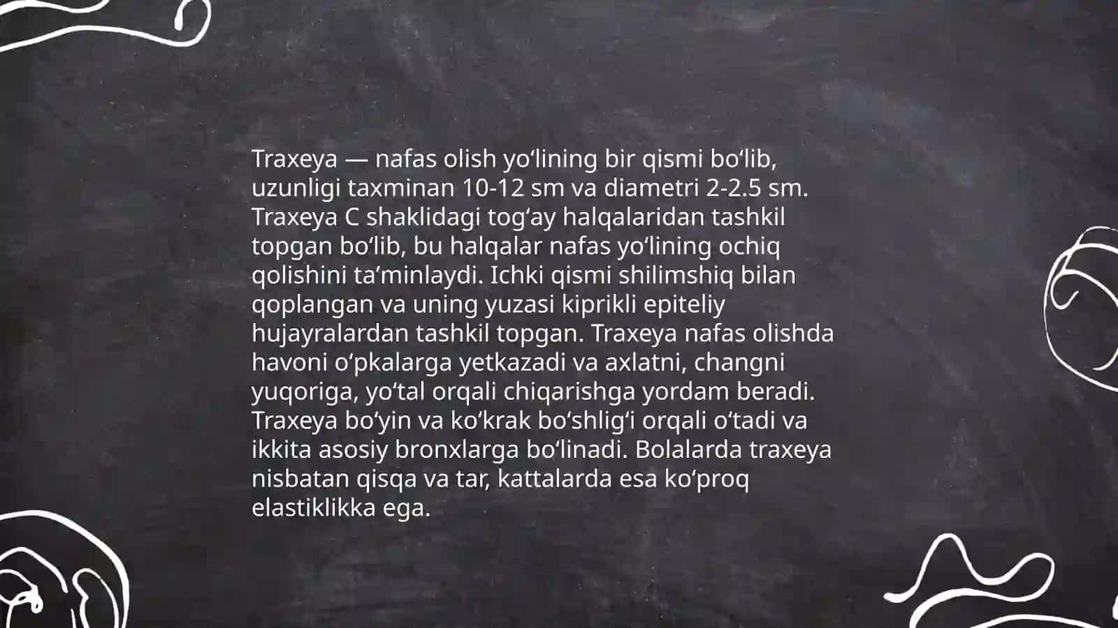Traxeyalilar kenja tipining umumiy xarakteristikasi 4