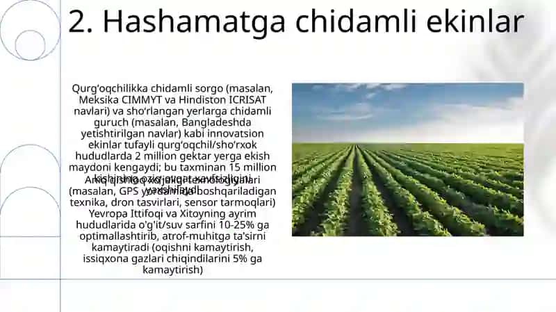 Qurgʻoqchilikka chidamli ekinlar 4