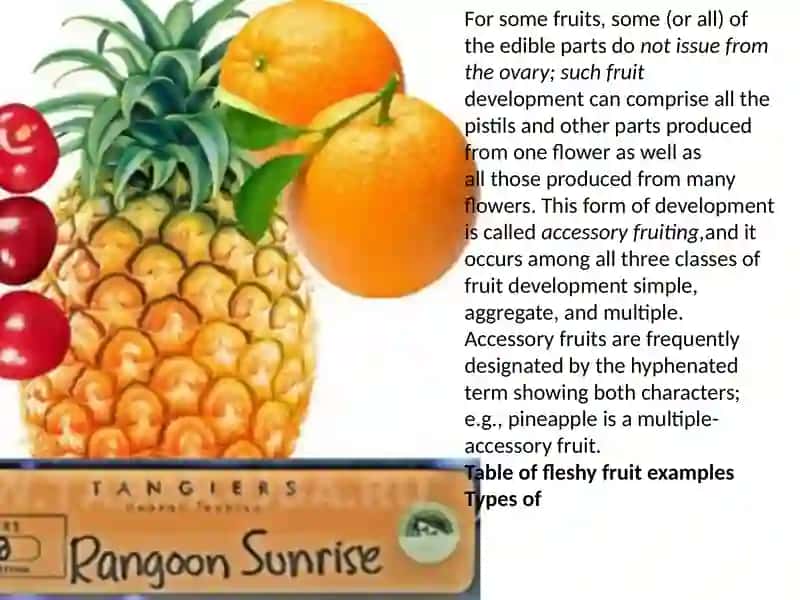 Fruits. 4