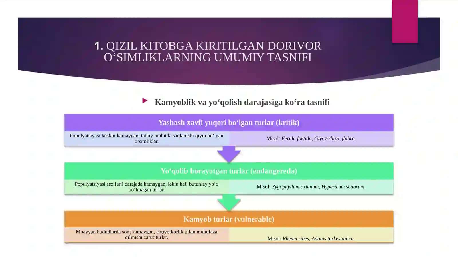 QIZIL KITOBIGA KIRITILGAN DORIVOR O'SIMLIKLARNING BIOEKOLOGIK XUSUSIYATLARI 4