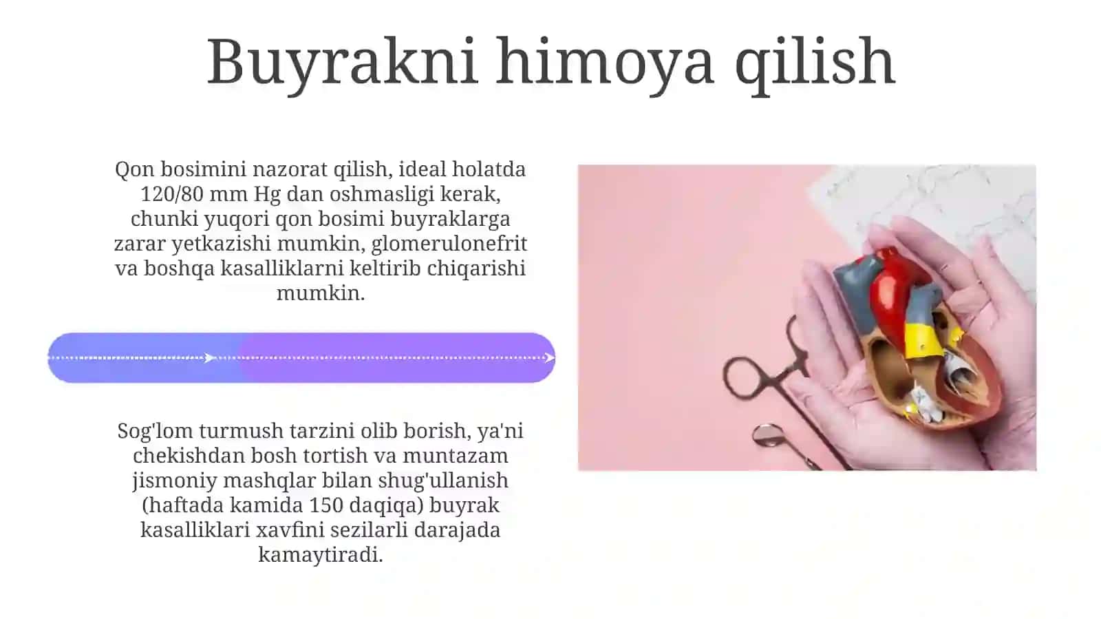 Buyrakustibezifiziologiyasi 4