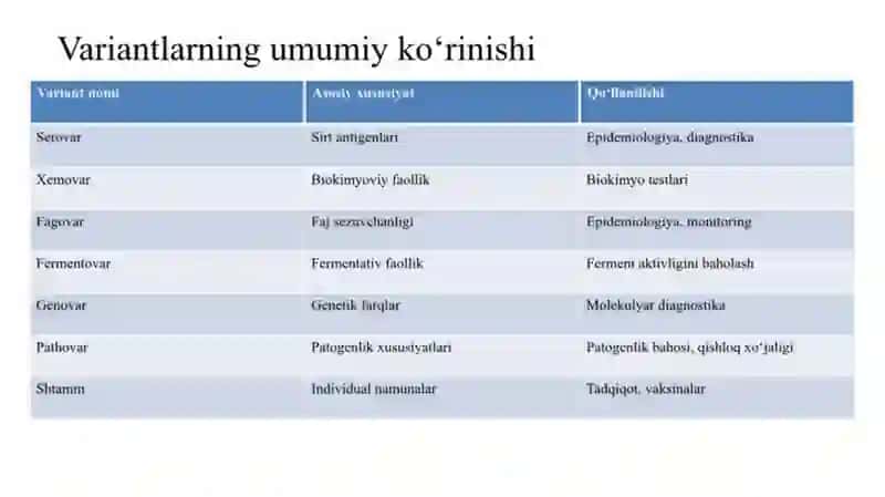 Bakteriyalarni klassifikatsiyasiga 
kiritilmagan lekin amaliyotda qo‘llaniladigan tur ichidagi vari 4