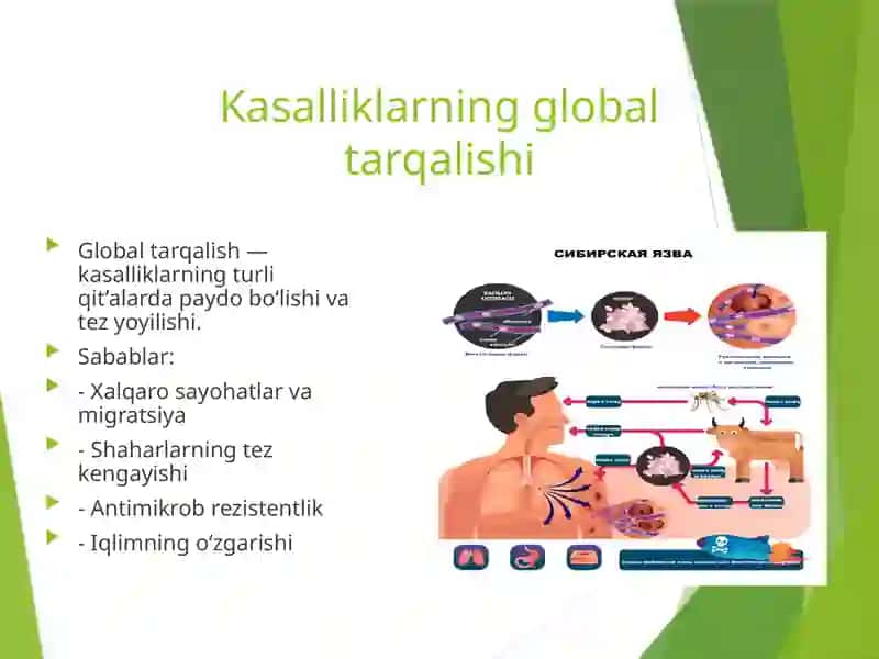 Kasallikning global tashvishi.Iqlim o'zgarishlarining tibbiy oqibatlari 4
