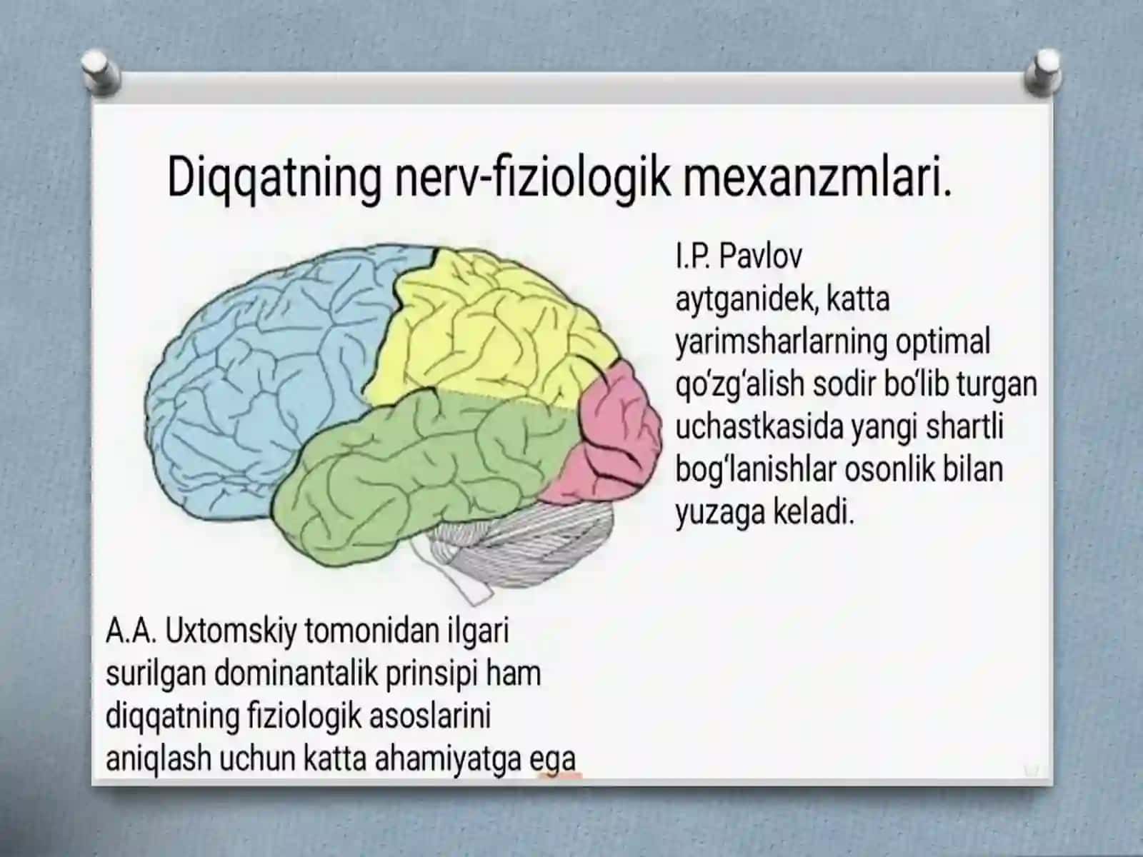 KOGNITIV JARAYONLAR-DIQQAT 4