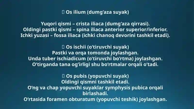 Chanoq SohasiningCHANOQ SOHASINING TUZILISHI MUSKULLARI VA NERVLAR BILAN TAMINLANISHI. BOLDIR SOHALARI. BOLDIR-TO'PIQ SOHASI, OYOQ PANJASI KLINIK ANATOMIYASI. SON SUYAGINING KLINIK ANATOMIYASI Tuzilishi 4